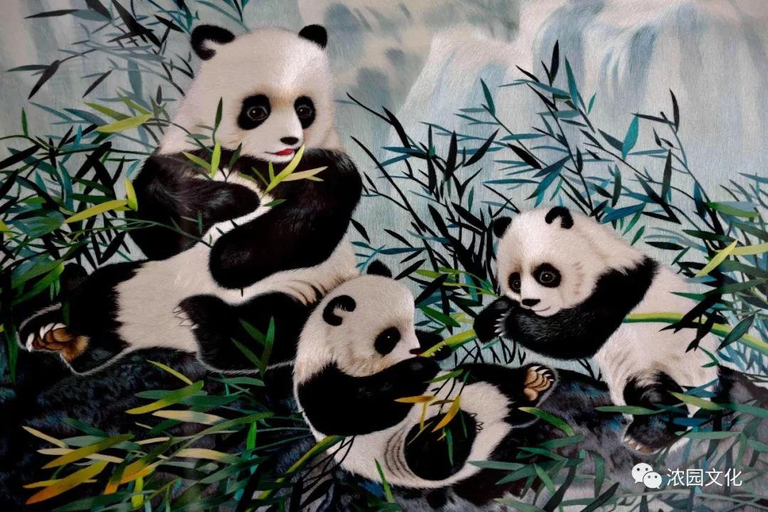 1560164614466464.jpg 微信图片_20190610190131.jpg