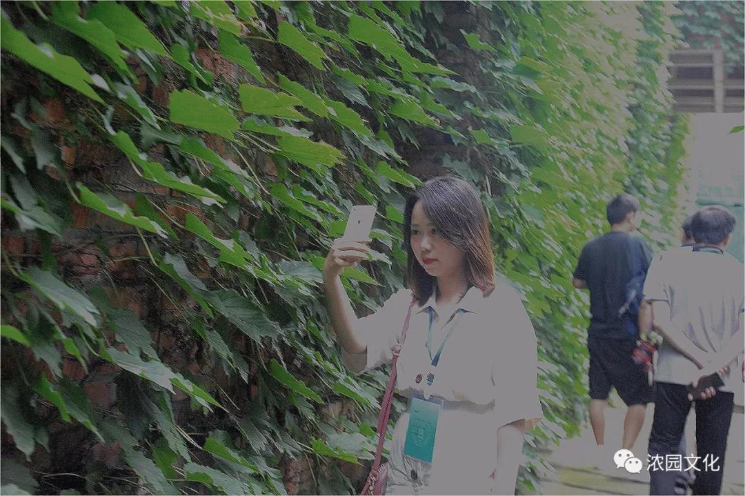 微信图片_20190710101240.jpg
