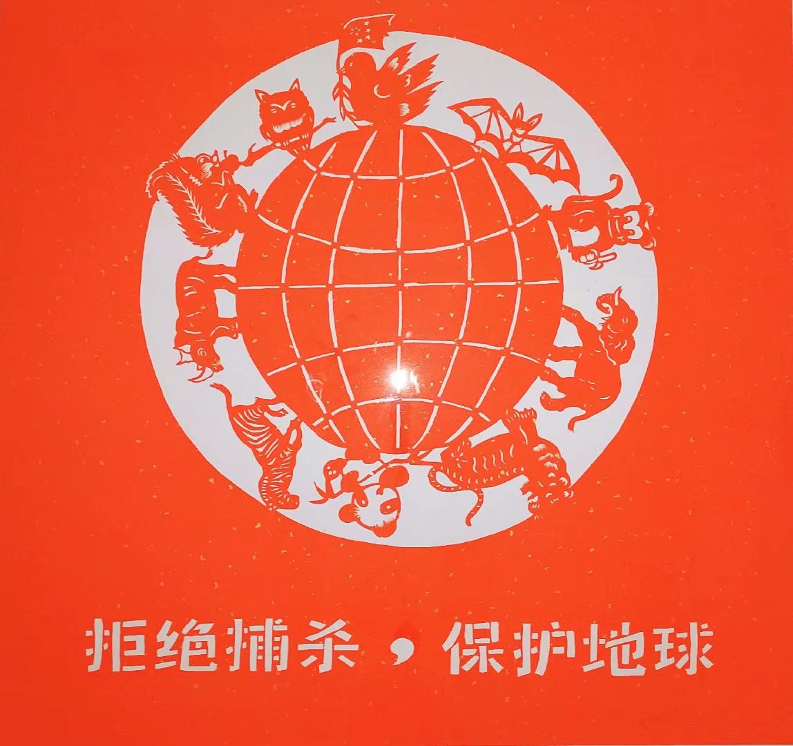 1582009331854796.jpg 10,专业组,罗翌,剪纸作品《保护地球》.jpg